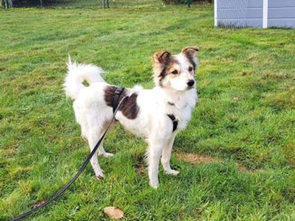 Luca sucht seine Familie