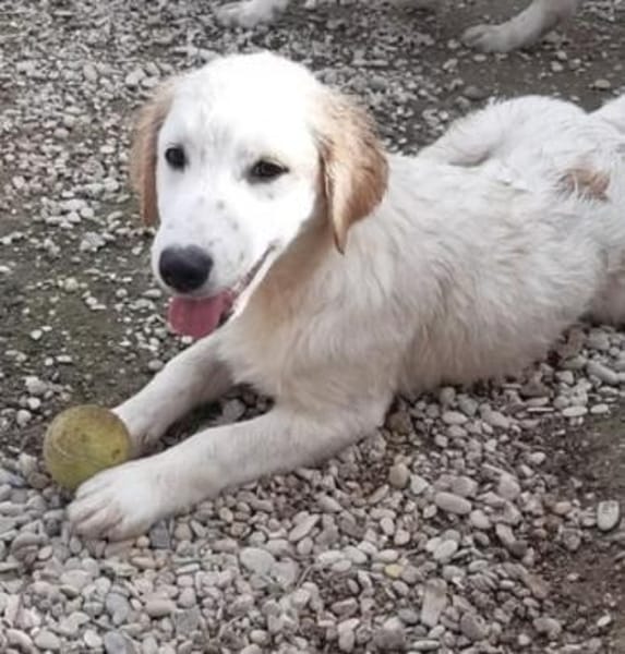 hübsche Maus sucht ihre Menschen 😍