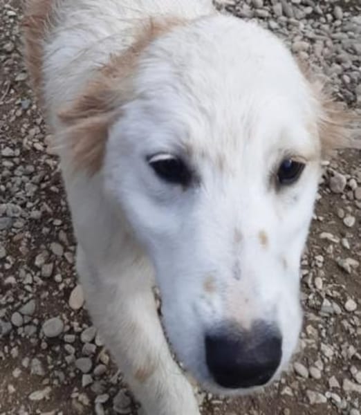 hübsche Maus sucht ihre Menschen 😍