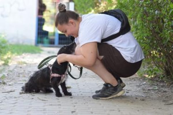 Gismo - freundlich, liebevoll & schüchte