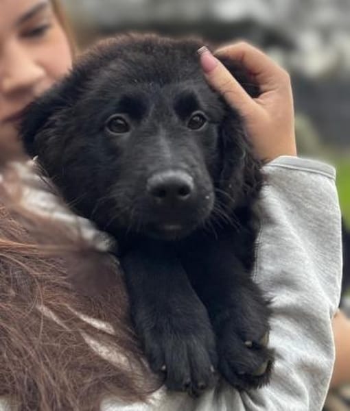 Butterfly unser Schönheit...