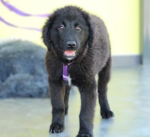 Butterfly unser Schönheit...