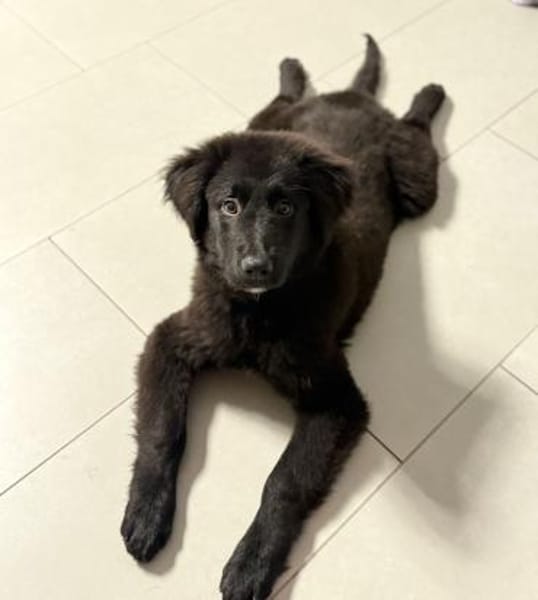 Butterfly unser Schönheit...