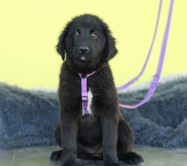 Butterfly unser Schönheit...