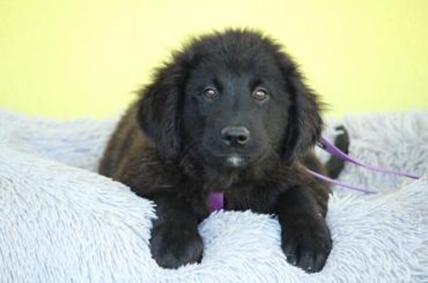 Butterfly unser Schönheit...