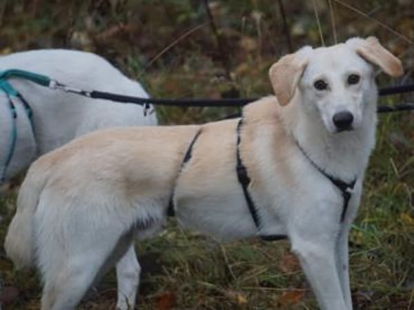 Geo freut sich auf Sie!