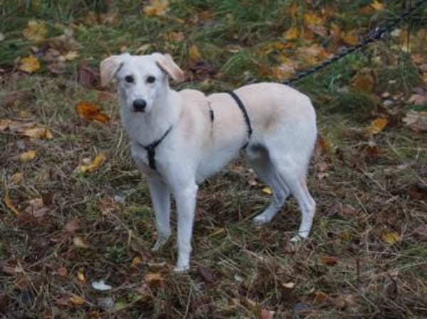 Geo freut sich auf Sie!