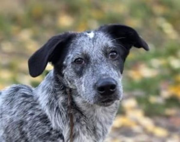 Tomasina möchte Sie begleiten