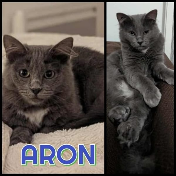 ARON