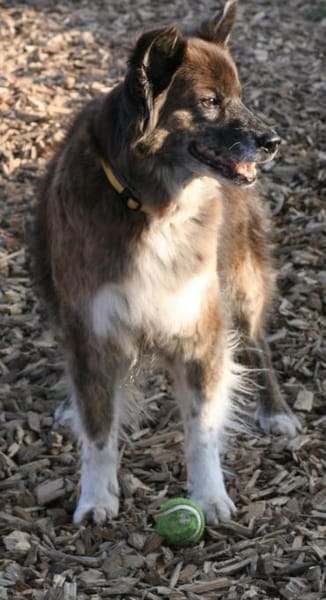 STELLA - sportliche Best Agerin 💖