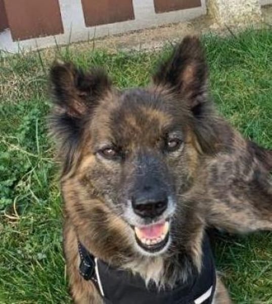 STELLA - sportliche Best Agerin 💖