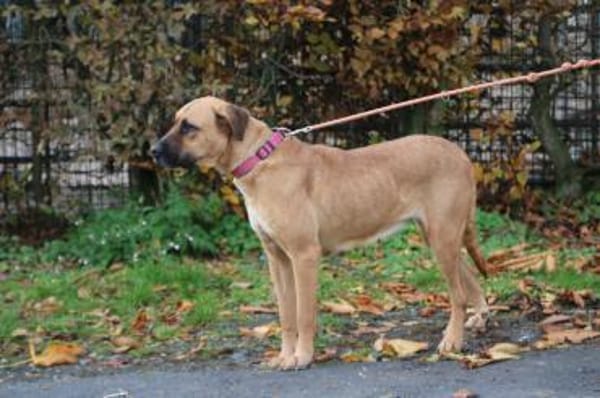 Leela - kinderlieb u. verspielt