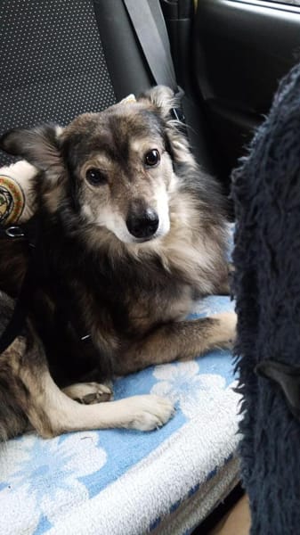 BRANCO - Couchkuscheln ist sooo schön