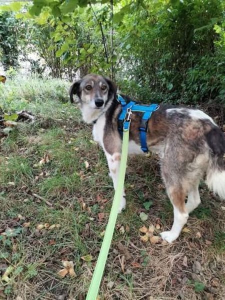 Zauberhafte Fine sucht Zuhause