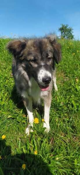 JUMA * freundlich, zurückhaltend