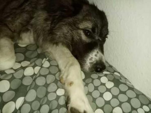 JUMA * freundlich, zurückhaltend