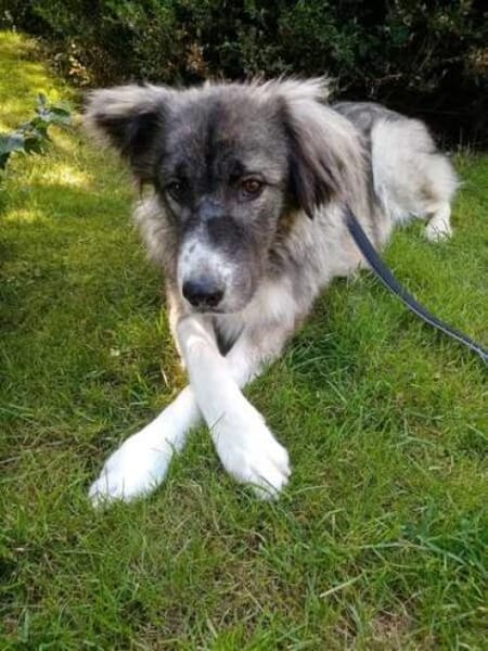 JUMA * freundlich, zurückhaltend