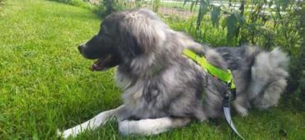 JUMA * freundlich, zurückhaltend