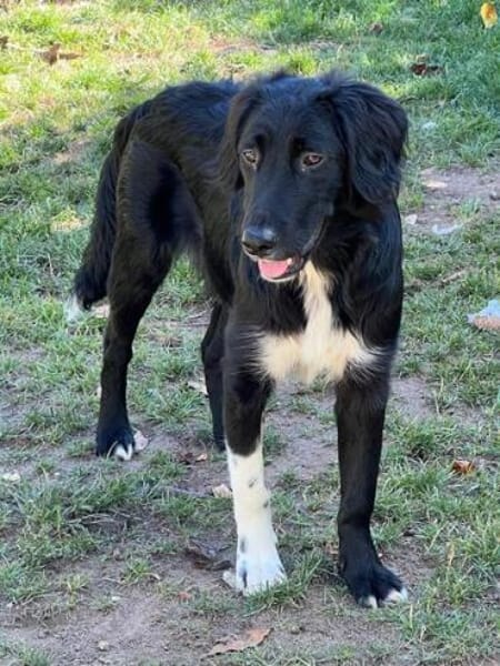 JASNY * freundlich schüchtern