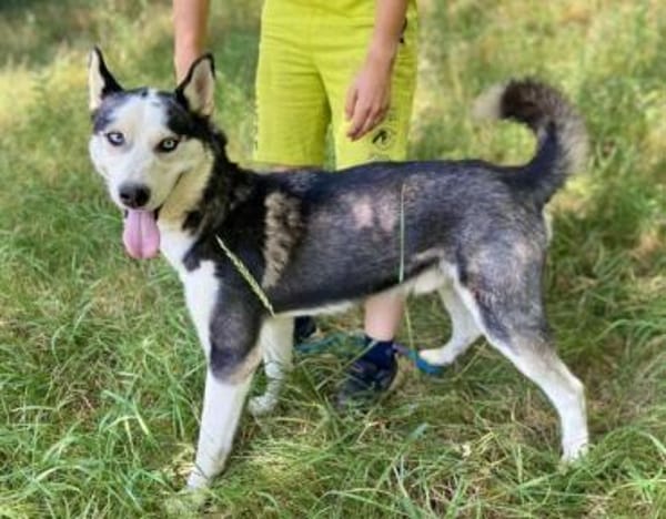 Menschenbezogener NAVARO