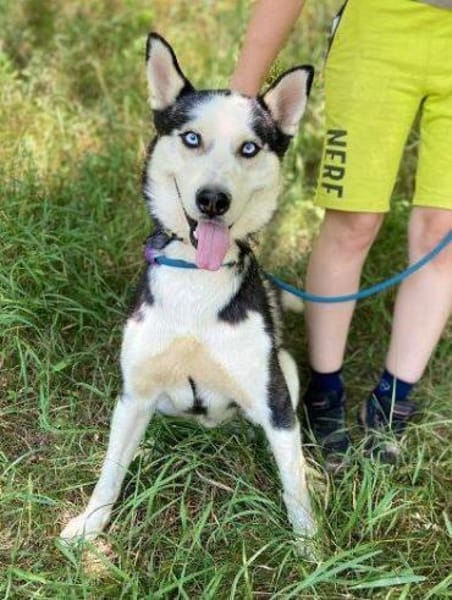 Menschenbezogener NAVARO