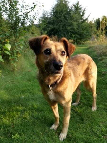 MACI * liebe Seele s. einfühlsames Heim