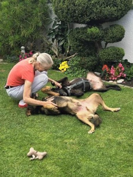 SABINA -ruhig & verschmust-