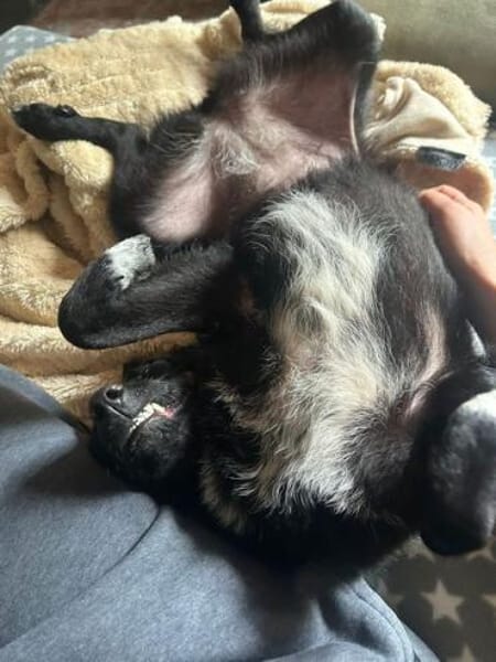 JANNA * freundliche Begleitung