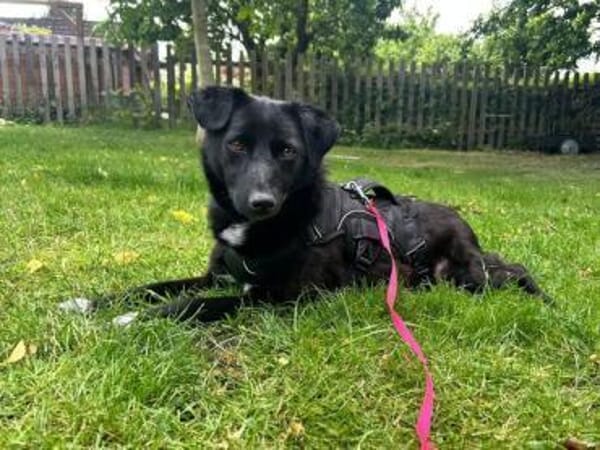 JANNA * freundliche Begleitung