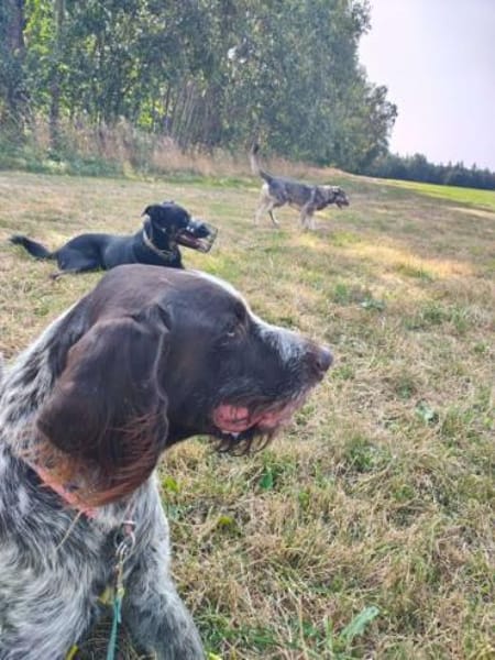 RUFUS -liebt Schweißarbeit-