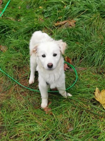 Ava Schneeengel sucht Familie