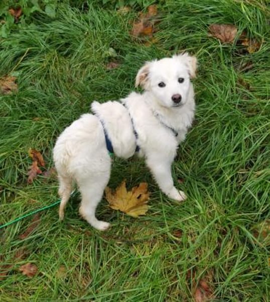 Ava Schneeengel sucht Familie