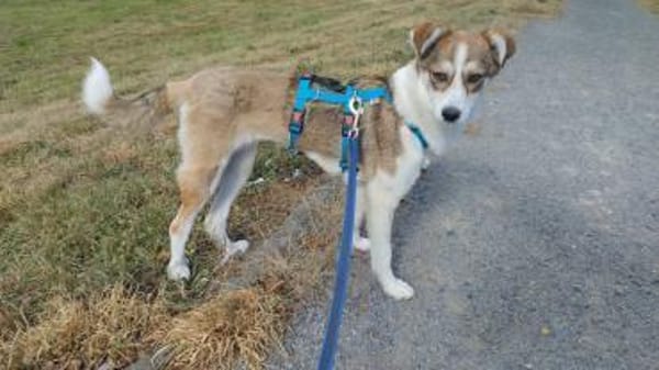 CARISA -sanft & menschenbezogen-