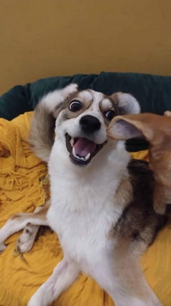 CARISA -sanft & menschenbezogen-