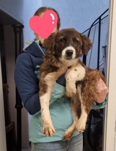 KIBA * Ihre Menschen sind Ihre Welt