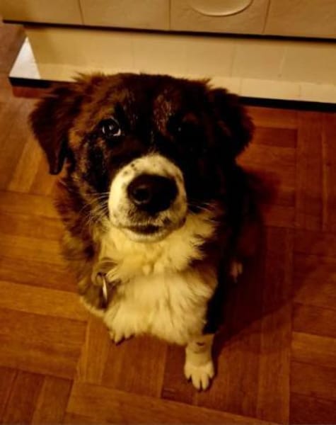 KIBA * Ihre Menschen sind Ihre Welt