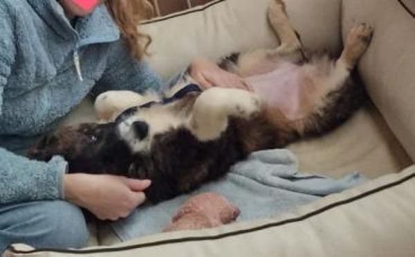 KIBA * Ihre Menschen sind Ihre Welt