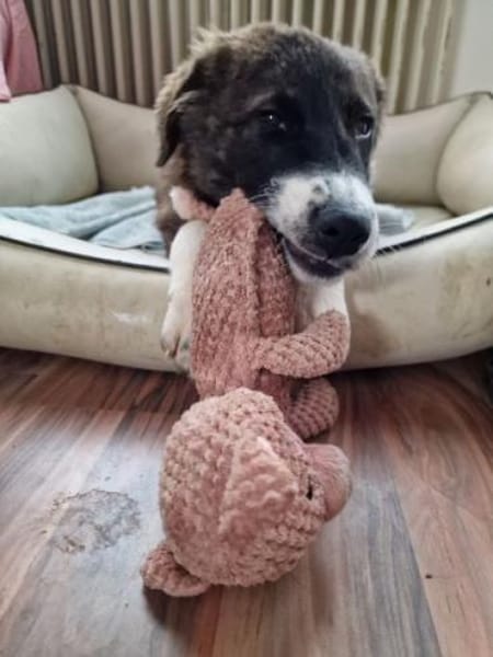 KIBA * Ihre Menschen sind Ihre Welt