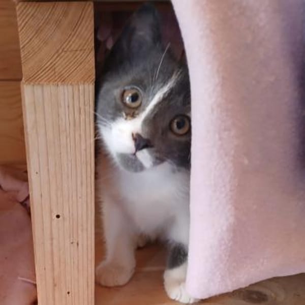 Hübsche Lydia raubt dir den Atem!