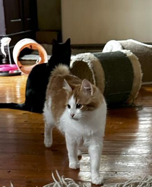 Kleiner Moritz möchte Welt entdecken!