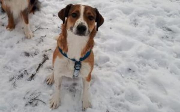 SUNDAY -steckt voller Entdeckungsfreude-