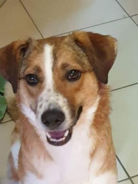 SUNDAY -steckt voller Entdeckungsfreude-