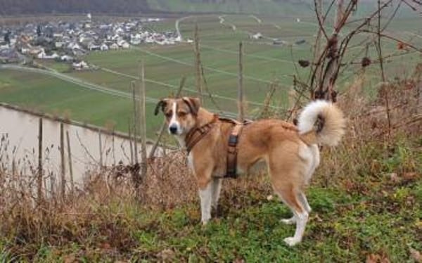 SUNDAY -steckt voller Entdeckungsfreude-