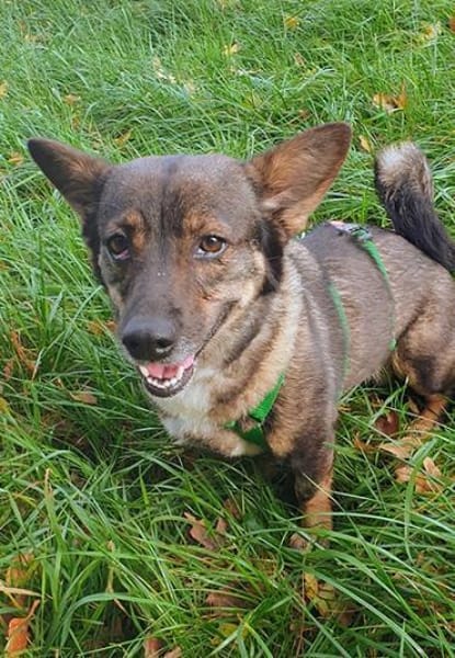 YUNA -Aktiv & anhänglich-