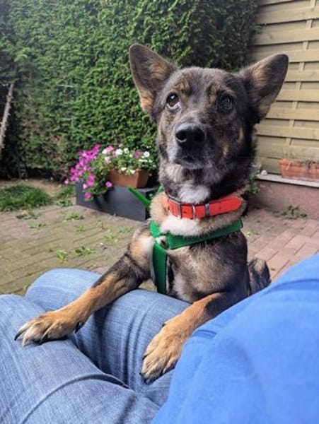 YUNA -Aktiv & anhänglich-