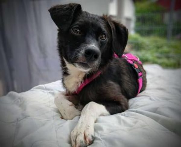 PAULINE * voller Lebensfreude