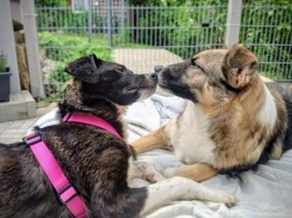 PAULINE * voller Lebensfreude