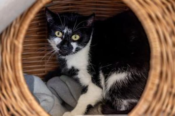 Mehrfach-Mutti  -  Bärbel