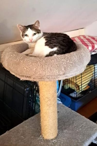 Liebe Farah - hoch schwanger entsorgt !