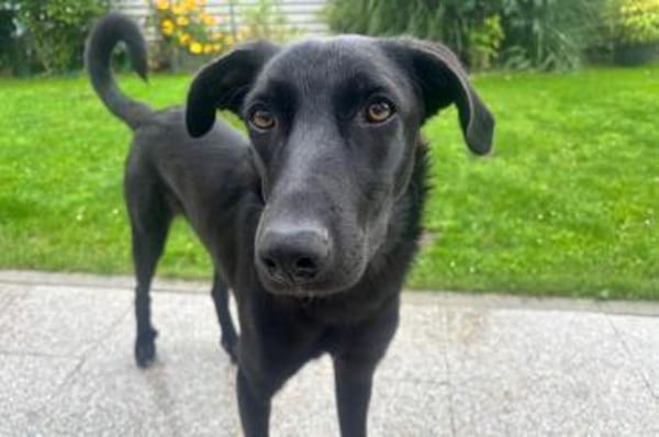 Elektra  voller Energie und Liebe ❤